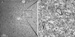 Carl Zeiss Launches Hard- and Software Package for Nanoscopic Analysis of Large-Area Specimens