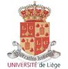 Researchers Demonstrate Feasibility of Logic Operations on Single Nanoparticle