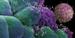 Researchers Study Anticancer Drug Delivery System Based on Nanosponge Particles