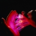 New Study Validates Classic Tomographic Descriptions of Quantum States