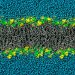 Atomic Art Promotes Sustainability