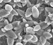 New Way to Apply Nanostructure Coatings to Make Heat Transfer Far More Efficient