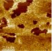 Plastic Antibodies May Fight A Wide Range of Human Diseases