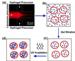 New Technique to Form Liposome-Hydrogel Hybrid Nanoscale Vesicles