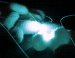 Silk Microchip for Rapid Medical Testing