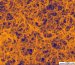 Visible-Light Catalysis Using Silver Chloride Nanowires Decorated with Gold Nanoparticles