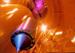 Ultra-Cold Quantum Gas Behaves Coherently at Zero Gravity