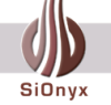 SiOnyx Successfully Demonstrates Pixel-Scale Light Detectors