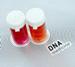 Novel DNA Transfer Agents Find Potential Application in Nanomedicine