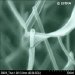 Scientists Create Simple Networks of Organic Nanowires for Future Electronic and Optoelectronic Components