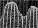 Enhanced Resolution in Low kv Region with New Electron Source Technology