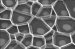 Carl Zeiss Nano Image Contest Off to a Successful Start