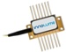 Innolume Begins Sampling of LD-12xx-Series of Quantum Dot Lasers