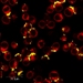 Transferrin-Bonded Nanoparticles Can Recognize Broad Range of Cancers