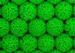 Scientists Create Zinc Oxide Nanostructures for PV Applications