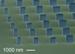 NIST Researchers Explore Ways to Create ‘Nanowires on a Chip’ Devices