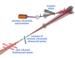 Researchers Measure Quantum Oscillations of Valence Electrons Using Spectroscopy Technique