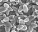 New Approach to Apply Nanostructure Coatings for High Tech Devices