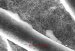 Using Nanotechnology To Purify Water