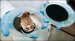 New Low-Cost Etching Technique Puting Trillion Holes in Silicon Wafer