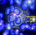 Platinum Anticancer Complex Photoactivated by Visible Light