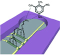 Sensor that Detects TNT with Nanowires