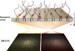 Researchers Win NIH Grant to Develop Nanopore DNA Sequencing Method