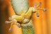 Researchers Develop Reversible Adhesion Method for Printing Electronics on Variety of Tricky Surfaces