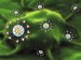 Nanoparticles Deliver Combination of Chemotherapy Drugs Directly to Prostate-Cancer Cells.