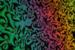 Chemists Develop New Liquid Crystals with Electric Dipole