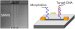 Biosensors: Morpholino Offers You More