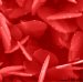 "Watching" Nanoparticles Grow in Real Time