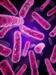 Researchers Study How Specialized Protein Reacts to External Stimuli