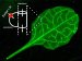 Making Sugar Juice Flow using Nanotechnology