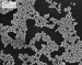 Detecting and Treating Tumors with the Help of Gold Particles