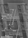 Neural Recording Capability Of Micrometer Sized VLS-Silicon Wires