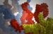 New Simulation Solution Solves Problem in DNA Self-Assembling Technology