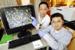 Innovative Organic Solvent System Opens Up New Possibilities in Nanomedicine