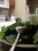 Solving Agriculture Problems using Nanotechnology