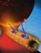 New Study on Pulling Power of Workhorse Proteins