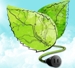 MIT Researchers' New Analysis Leads to Development of Artificial Photosynthetic Systems