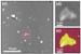Researchers Find Tiny Biomolecules for Imaging by Combining Laser and Atomic Force Microscopy