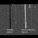 Researchers Discover New Imaging Tool to Screen Nanotubes