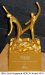 Bioengineering and Nanotechnology Institute Wins Gold Award for Promoting Healthy Lifestyle at Workplace