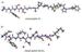 Researcher Uses Simulation Techniques to Study Inorganic-Organic Bonding