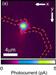 Research Team Fabricates Photodetector Based on Single Nanowire