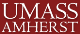 UMass Scientist Recognized as 2010 Cottrell Scholar for Nanotechnology Research