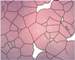 Silicon Solar Solutions Wins NSF Grant to Develop Thin-Film Solar Cell Technology