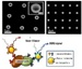 Extensive Overview of Plasmons in Metallic Nanomaterials