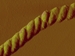 Scientists Coax Polymers to Form Nanoscale Ropes
